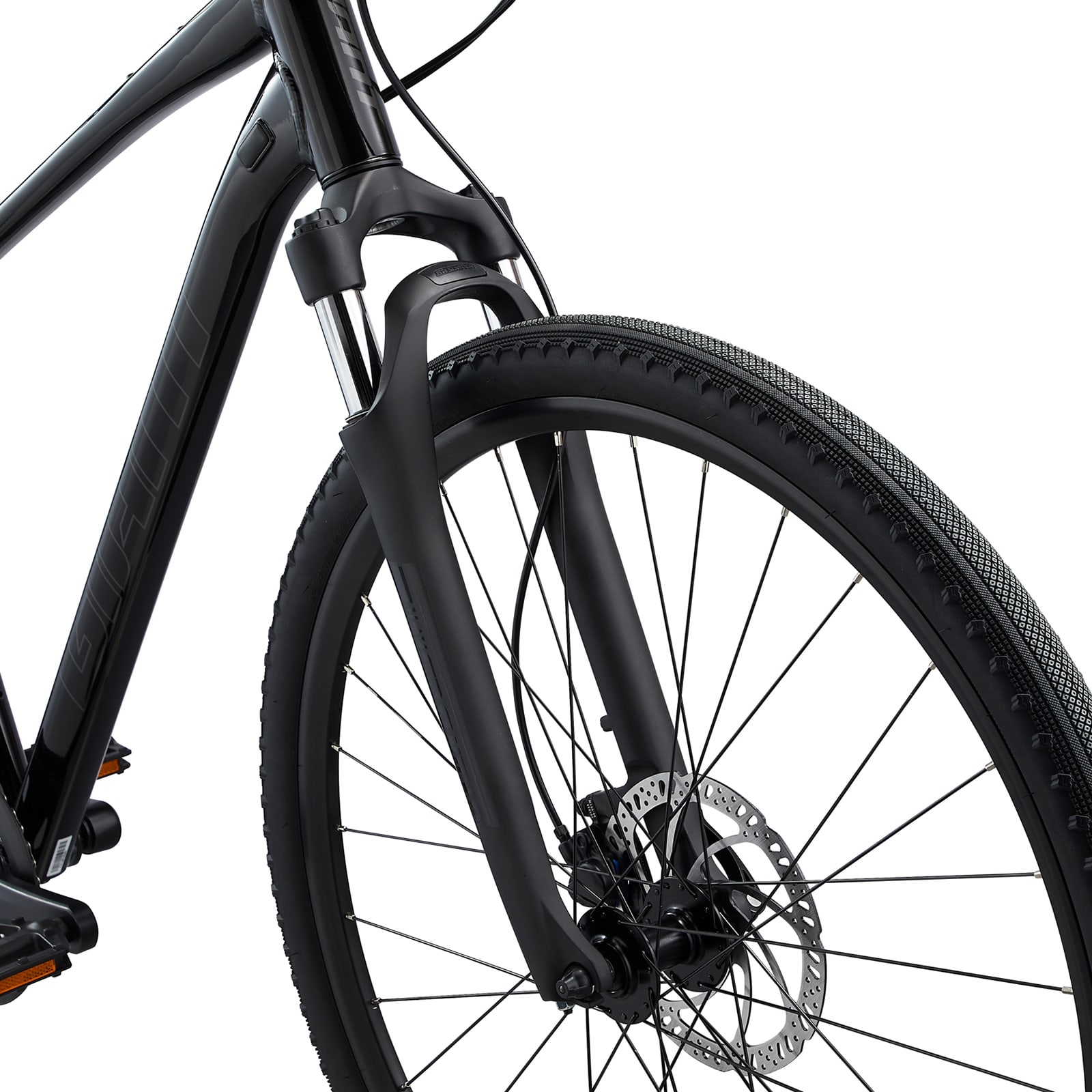 Giant Cypress 2 Black - Image 4