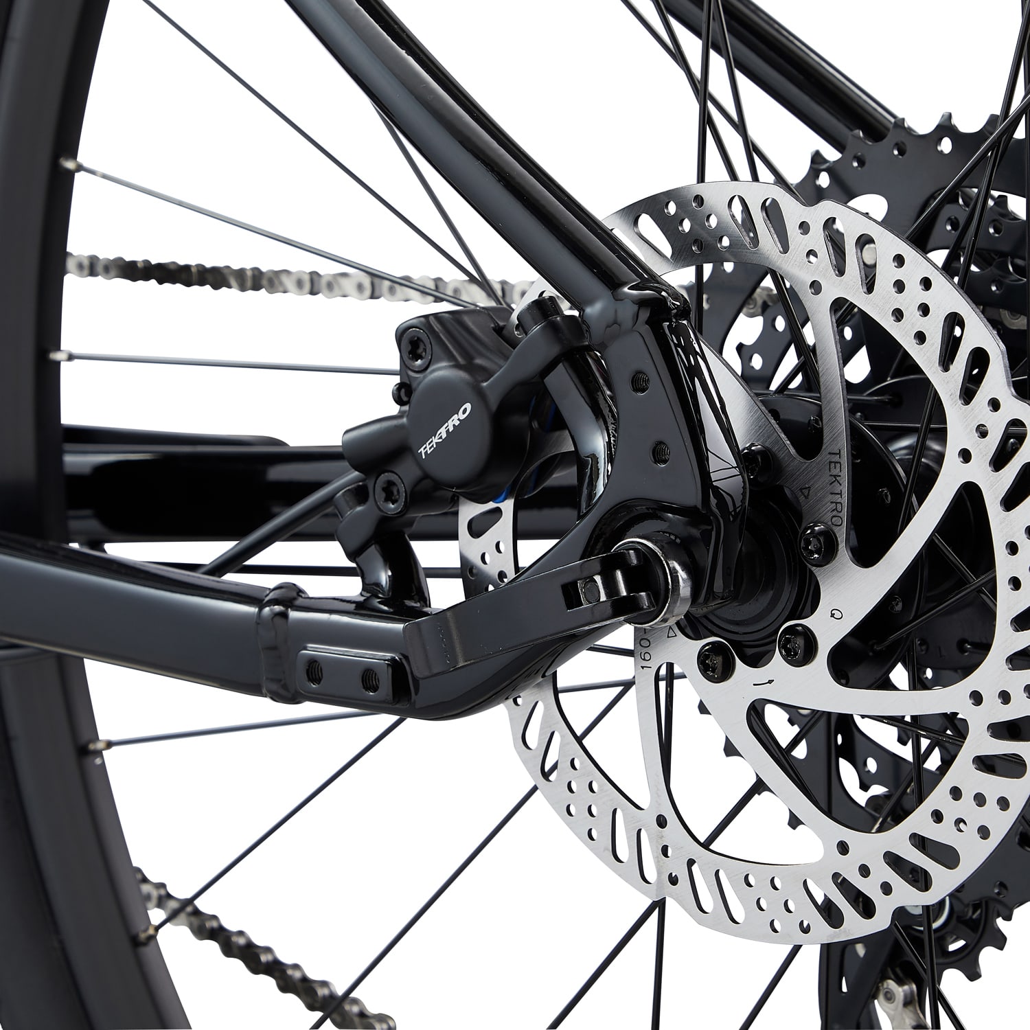 Giant Cypress 2 Black - Image 6