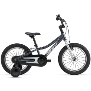 Giant  Animator F/W 16 Cold Iron