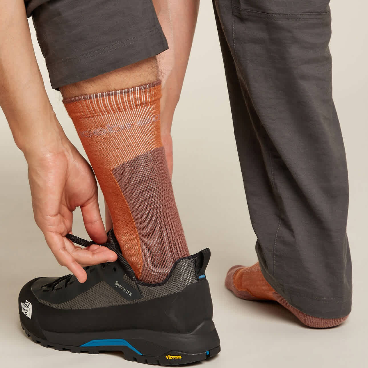 Icebreaker M Merino Hike+ Light Crew Dusty Clay/Carob - Image 3