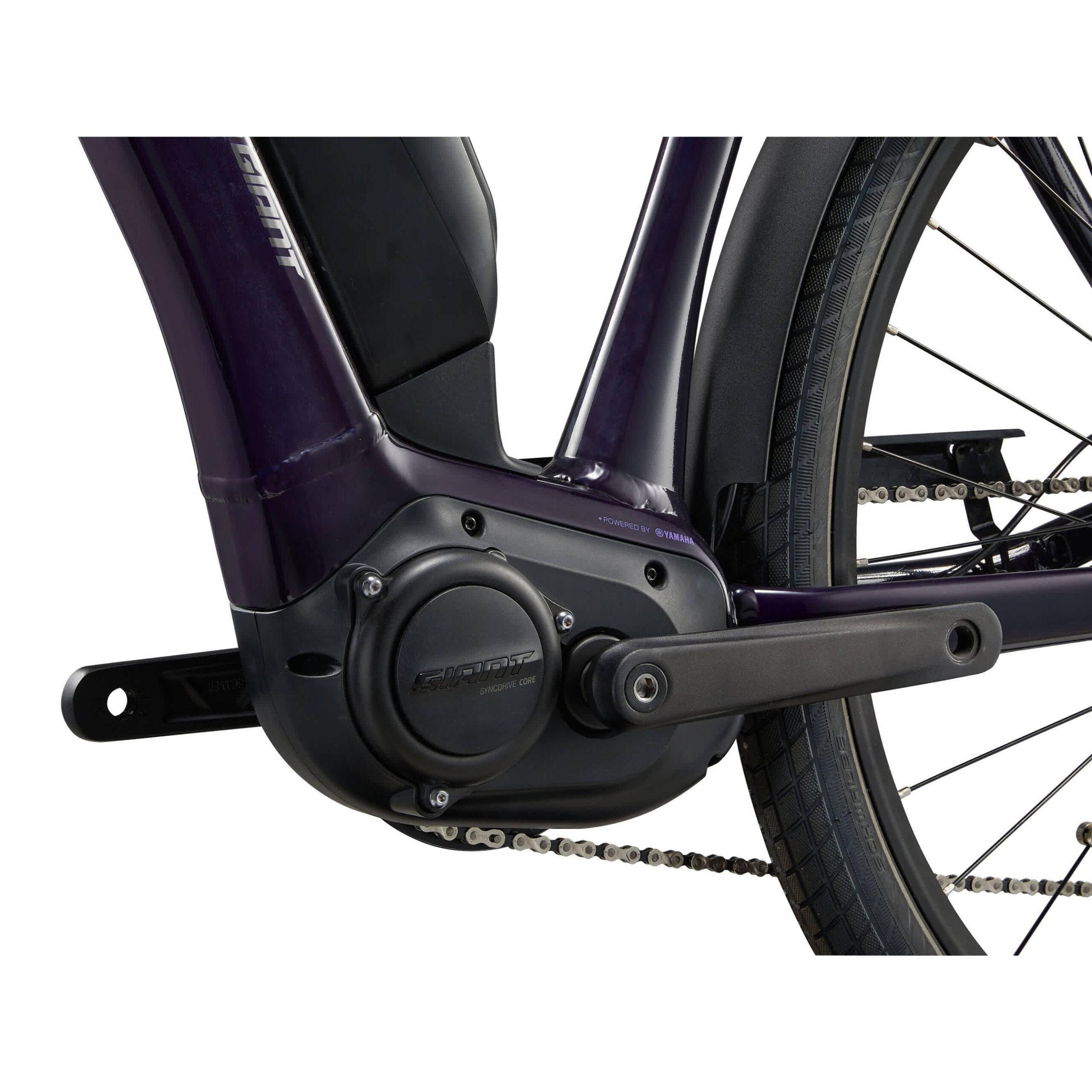 Giant Expression E+ Black Current - Image 5