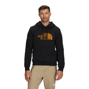 The North Face M Evolution Half Dome Hoodie Black/Gold