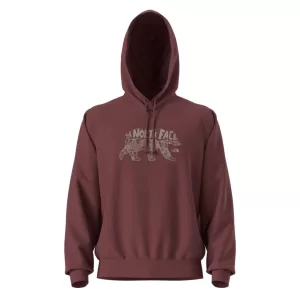 The North Face M Evolution TNF Bear Hoodie- Sumac
