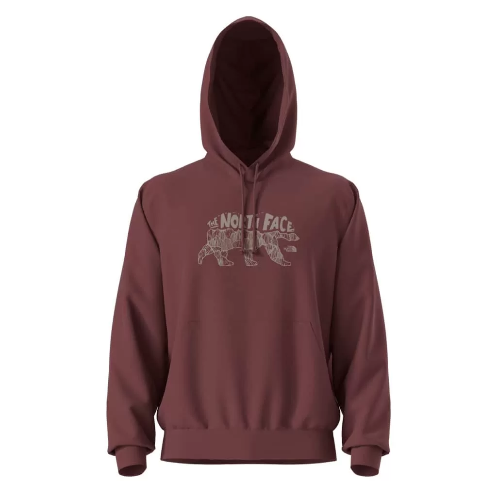 The North Face M Evolution TNF Bear Hoodie- Sumac