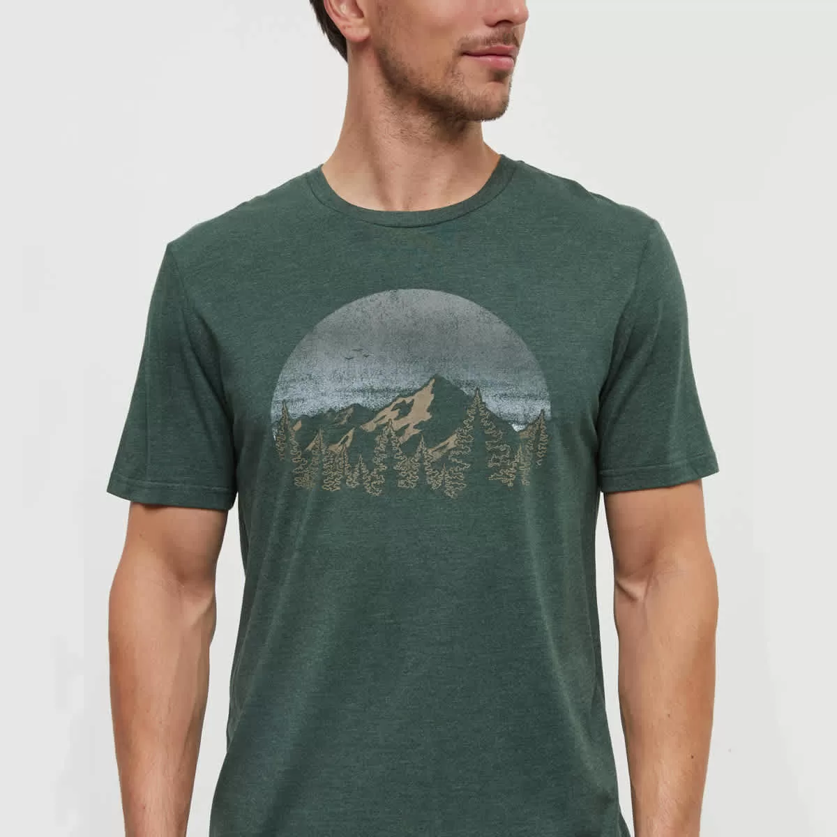 tentree M Vintage Sunset Tee Forest Pine Heather/Ocean Air - Image 3