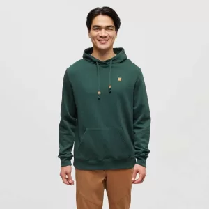 tentree M Reynard Hoodie Forest Pine