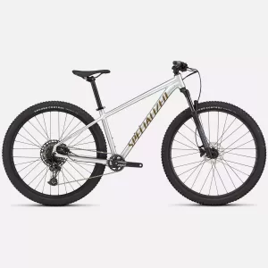 Specialized Rockhopper Expert Silver Dust