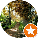 Steve Saul profile picture